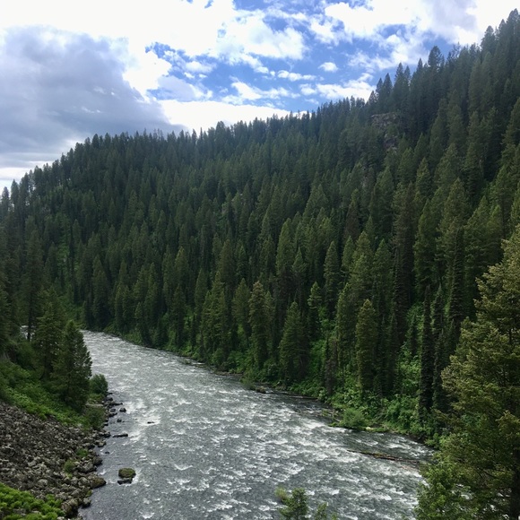 Meet your Posher, Angela - Picture 4 of 5